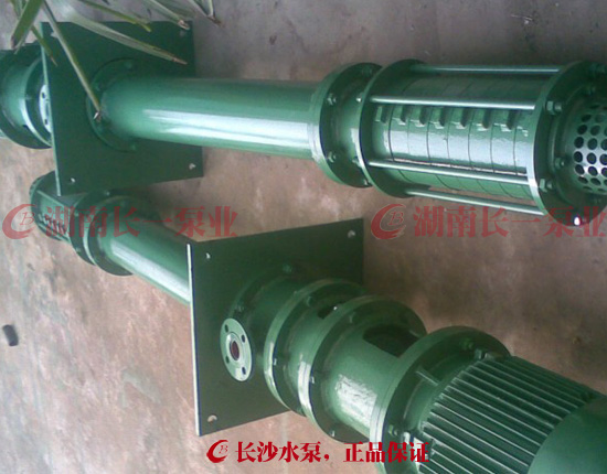 DWL/DWY/DWLY/DWYK型節(jié)段式多級(jí)離心液下泵